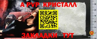 дживик Тара