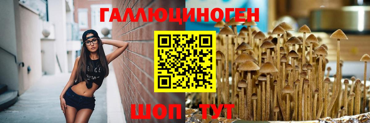 Галлюциногенные грибы GOLDEN TEACHER  Вход с VPN  Муравленко 